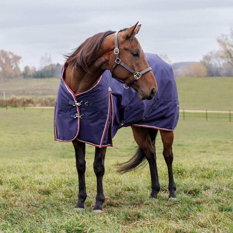 Weatherbeeta Comfitec Essential Turnout Rug Standard Neck Heavy Weight 360G Navy/Burgundy