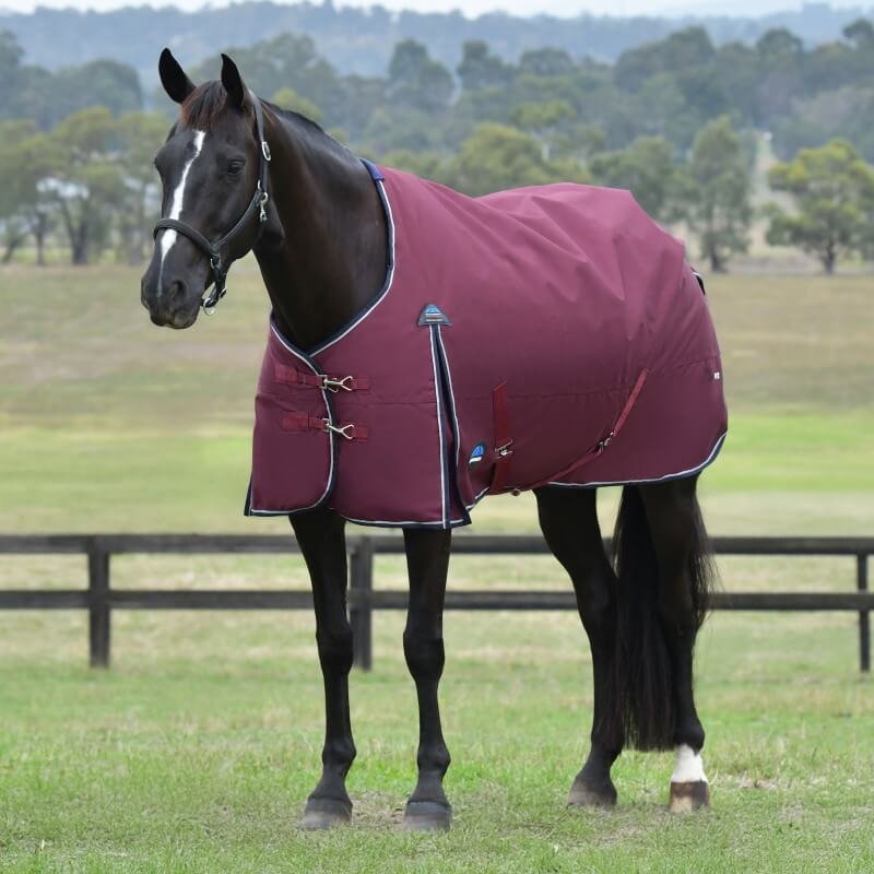 Weatherbeeta Comfitec Essential Turnout Rug Standard Neck Medium Light Weight 100G Burgundy/Navy
