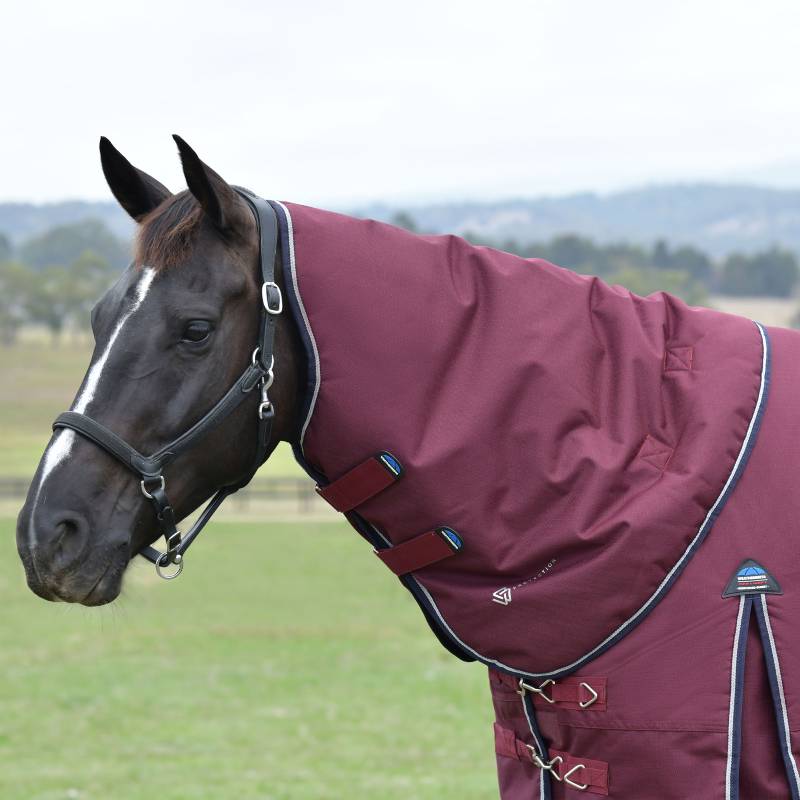 A black horse in a burgundy Weatherbeeta Comfitec Essential neck cover stands in a field.