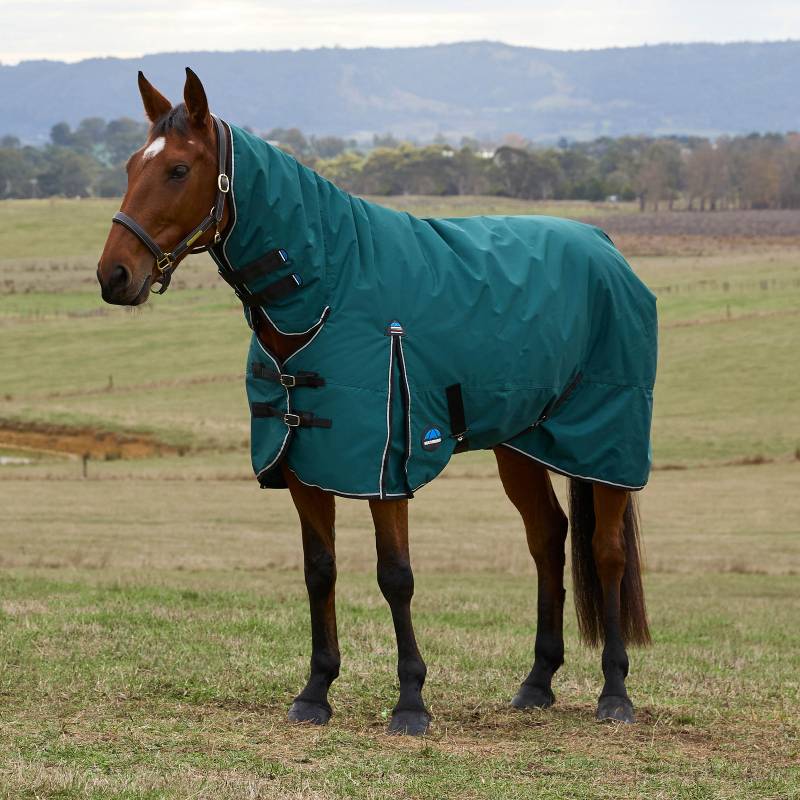 Weatherbeeta Comfitec Classic Heavy Weight Combo Neck Turnout Rug Forest Green/Black 360g