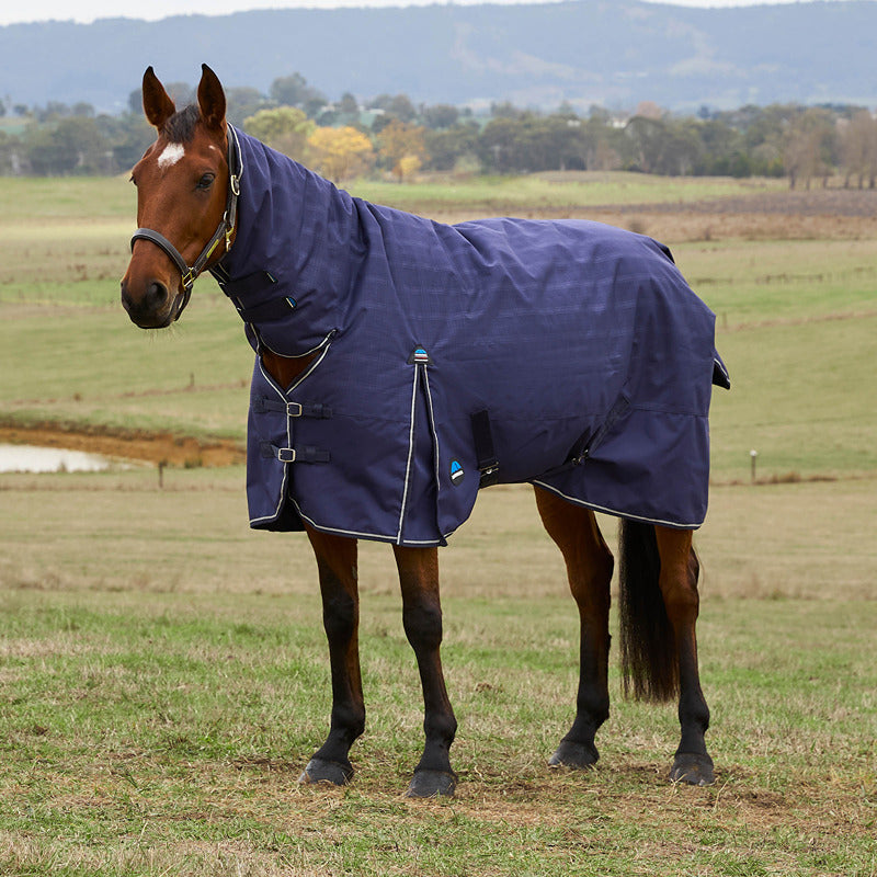A brown horse wears a Weatherbeeta Comfitec turnout rug in a grassy field with hills behind.