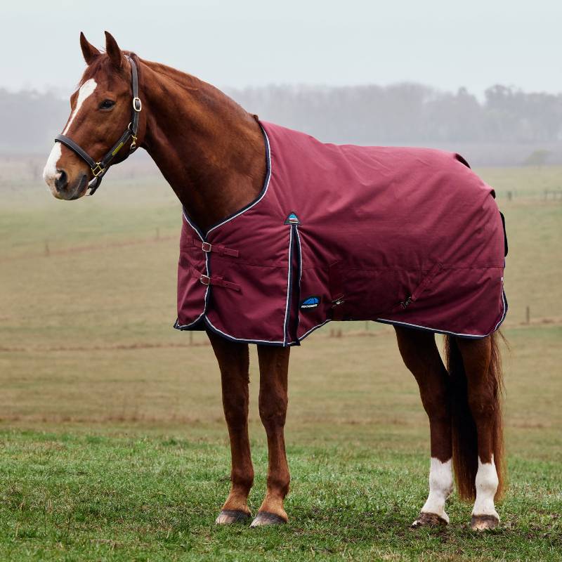 Chestnut horse in a Weatherbeeta 220g burgundy/navy rug stands on grass in a foggy field.