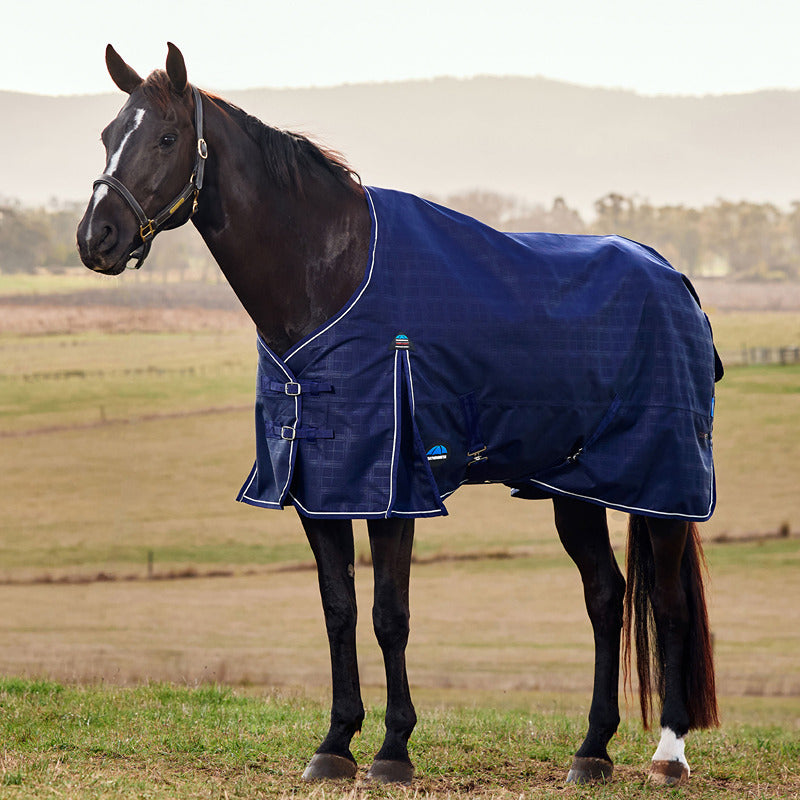 A black horse in a navy Weatherbeeta Comfitec Prelim turnout rug stands in a grassy field.