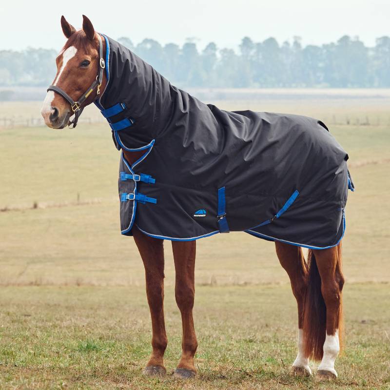 Horse wearing a Weatherbeeta Comfitec Tyro Combo Neck Turnout Rug 220g in a grassy field.