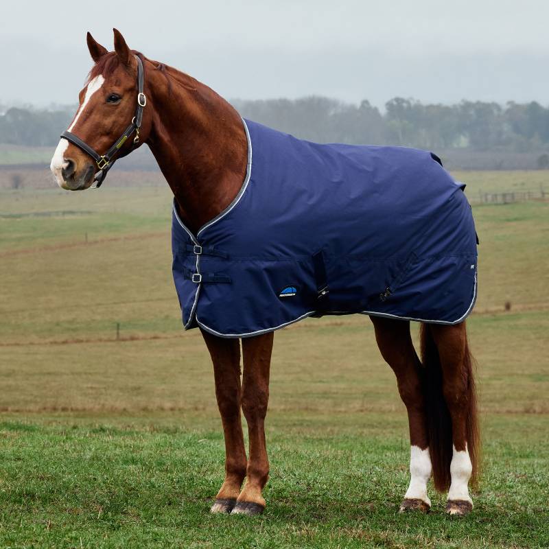 Brown horse in a navy Weatherbeeta ComFiTec Tyro Turnout Rug stands in a grassy rural field.