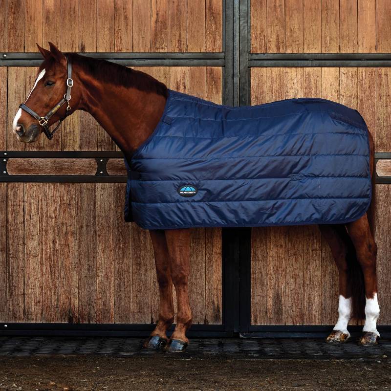 Brown horse in a navy Weatherbeeta Comfitec Thermi-Heat Liner 100g by wooden stable doors.