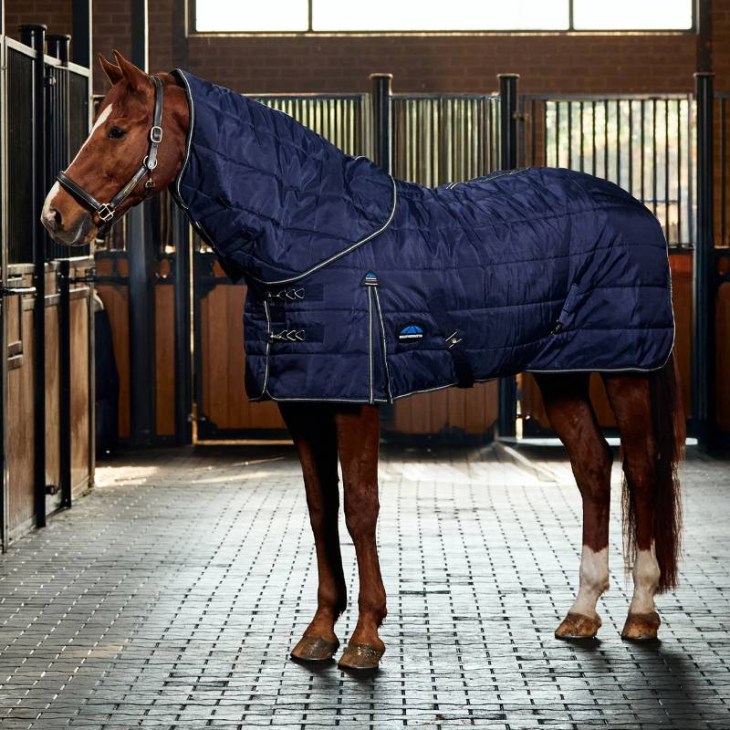 A brown horse in a navy Weatherbeeta Comfitec PP Channel Quilt Stable Rug stands in a stable.