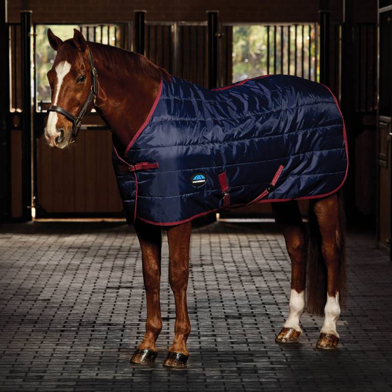 Chestnut horse in Weatherbeeta ComFiTec 210D Navy/Burgundy stable rug in a stable.