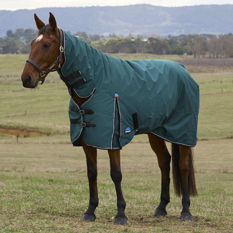 Brown horse wears a Weatherbeeta Comfitec Classic Combo Neck Turnout Rug in a grassy field.