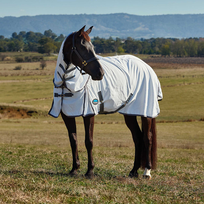 A horse in a Weatherbeeta 600D Combo Neck Rug stands in a grassy field with hills behind.
