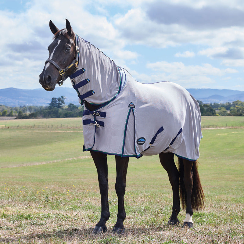 A horse in a Weatherbeeta Comfitec Zephyr Combo Neck Fly Rug stands in a grassy field.