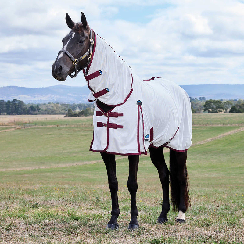 A black horse in a Weatherbeeta white fly rug stands in a grassy field.