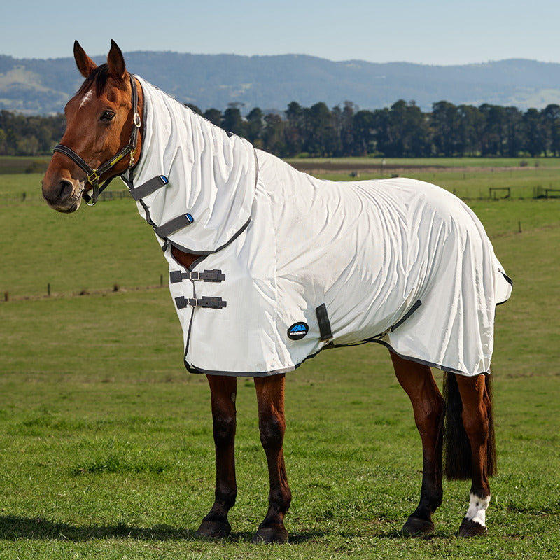 Brown horse in a Weatherbeeta Comfitec Tyro Fly Rug stands on grass with trees and hills behind.