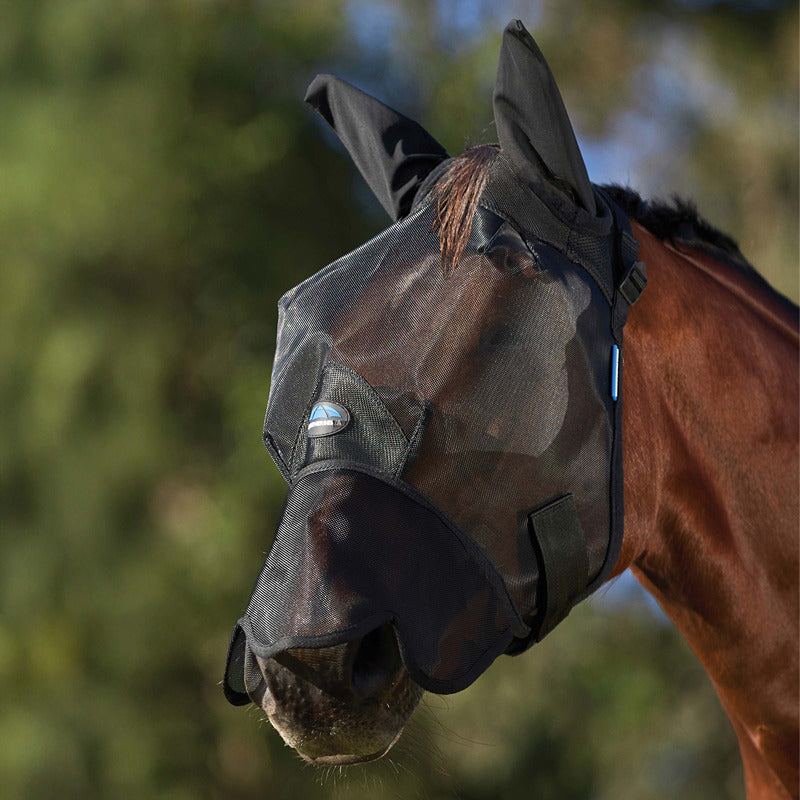 A brown horse outside wears a Weatherbeeta Comfitec Insect Guard Fly Mask With Ears &amp; Nose.