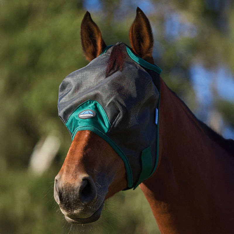 Brown horse outdoors in a Weatherbeeta Comfitec Black/Forest Green Mesh Fly Mask for UV protection.