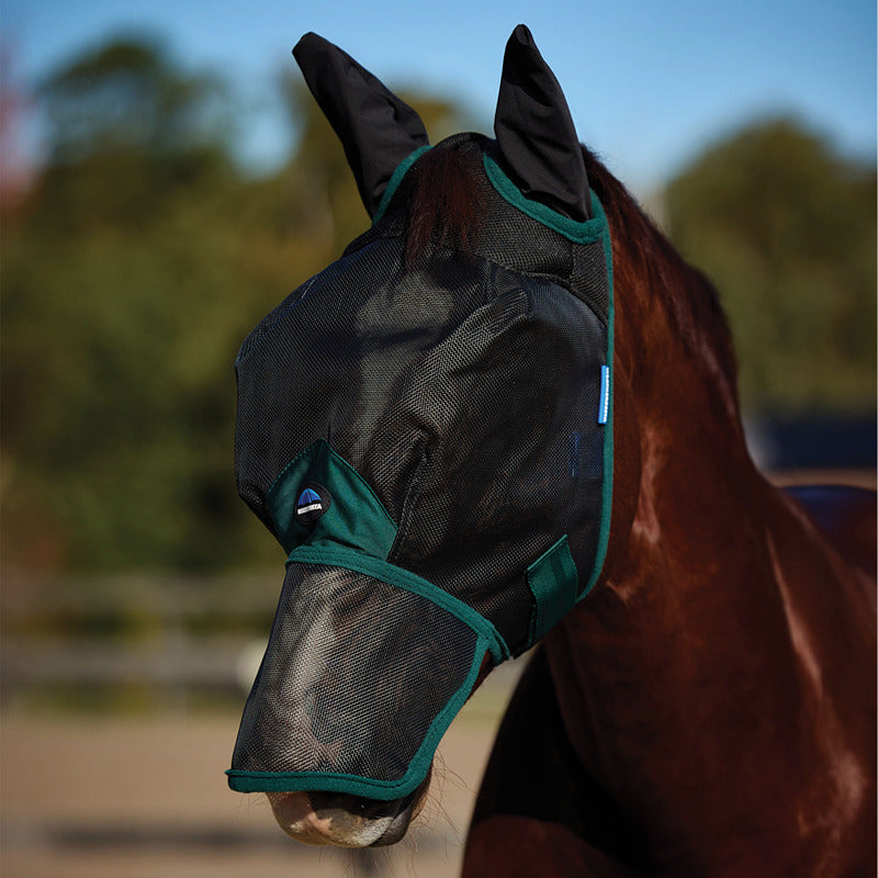 Horse in a Weatherbeeta Comfitec Mesh Fly Mask w/ Ears &amp; Nose, Black/Forest Green.