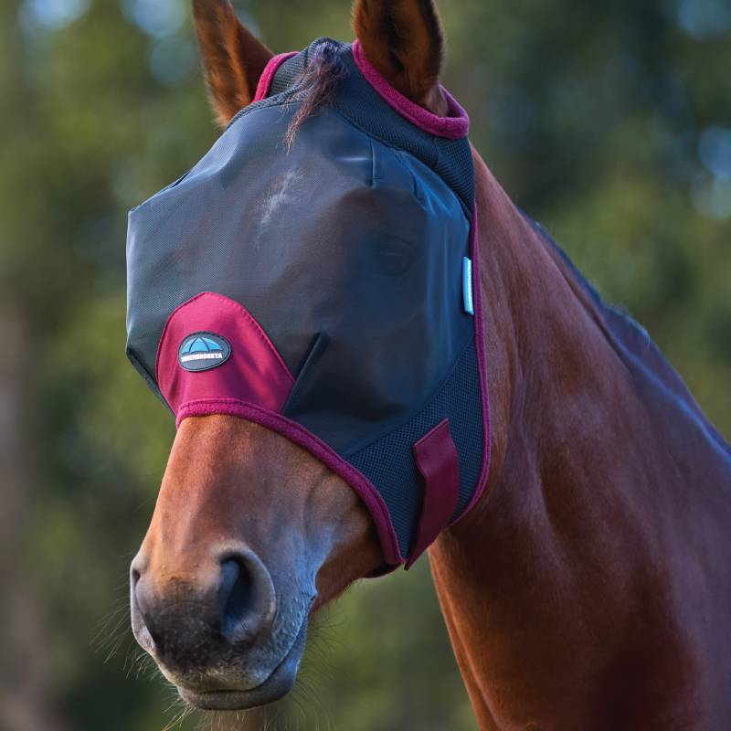 Weatherbeeta Comfitec Fly Mask Black/Burgundy on horse outdoors, green blur background.