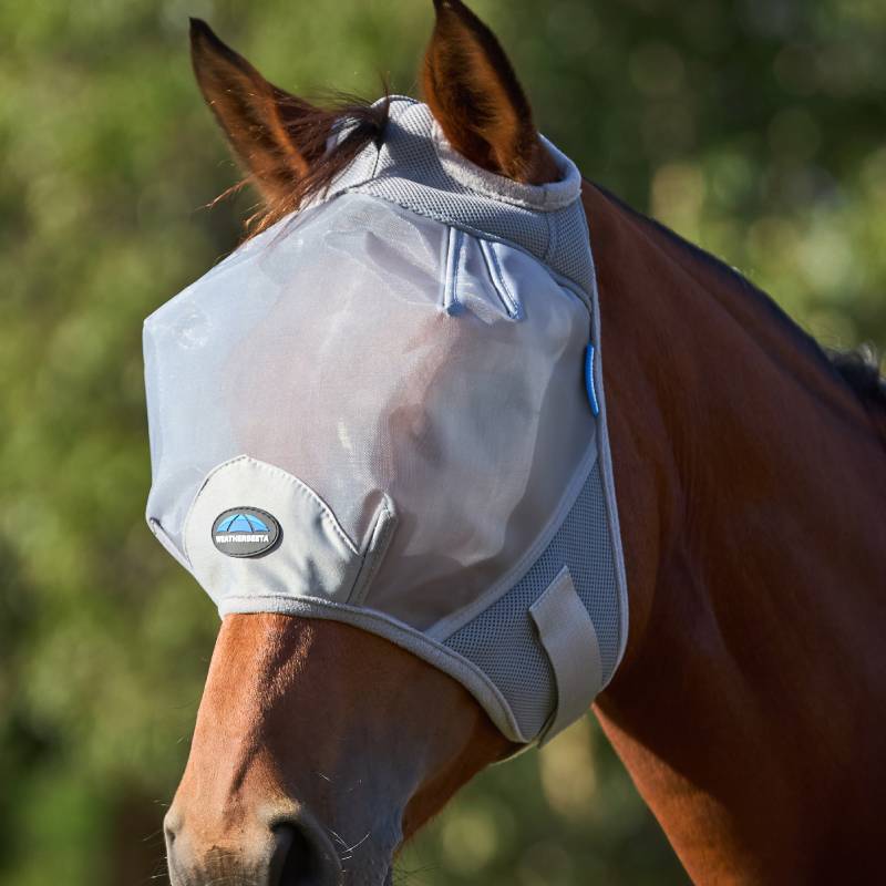 Brown horse in a Weatherbeeta Comfitec Fine Mesh Fly Mask Grey, outdoors on green background.