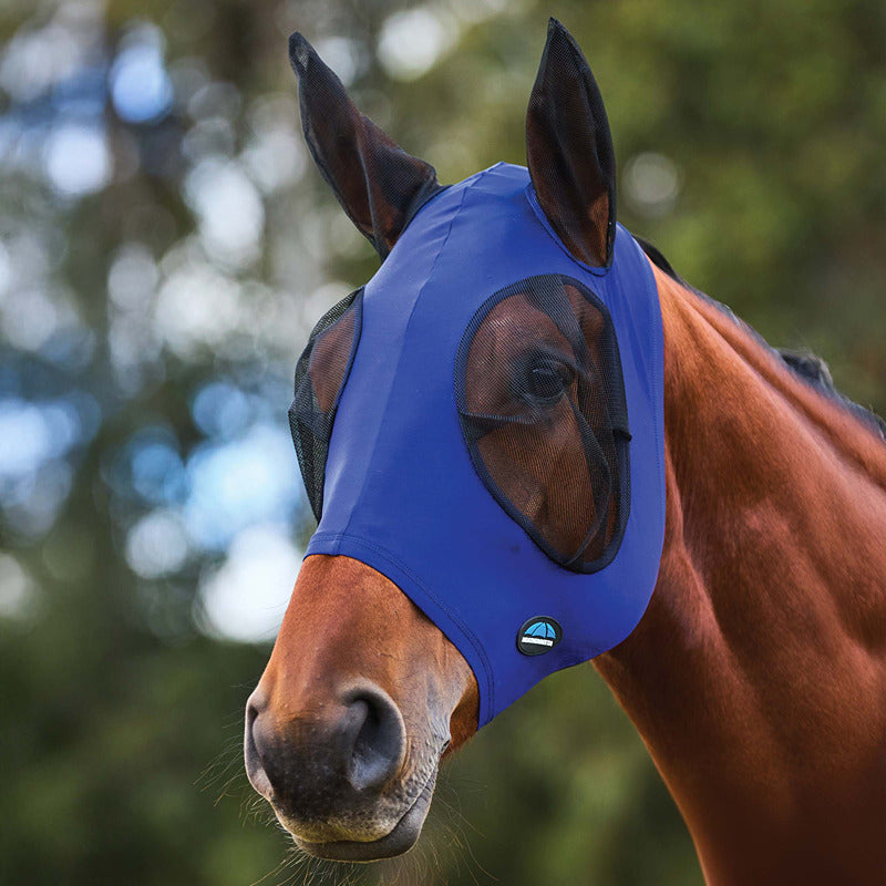 Brown horse in a Weatherbeeta Comfitec Stretch Fly Mask With Ears Cobalt/Black on green grass.