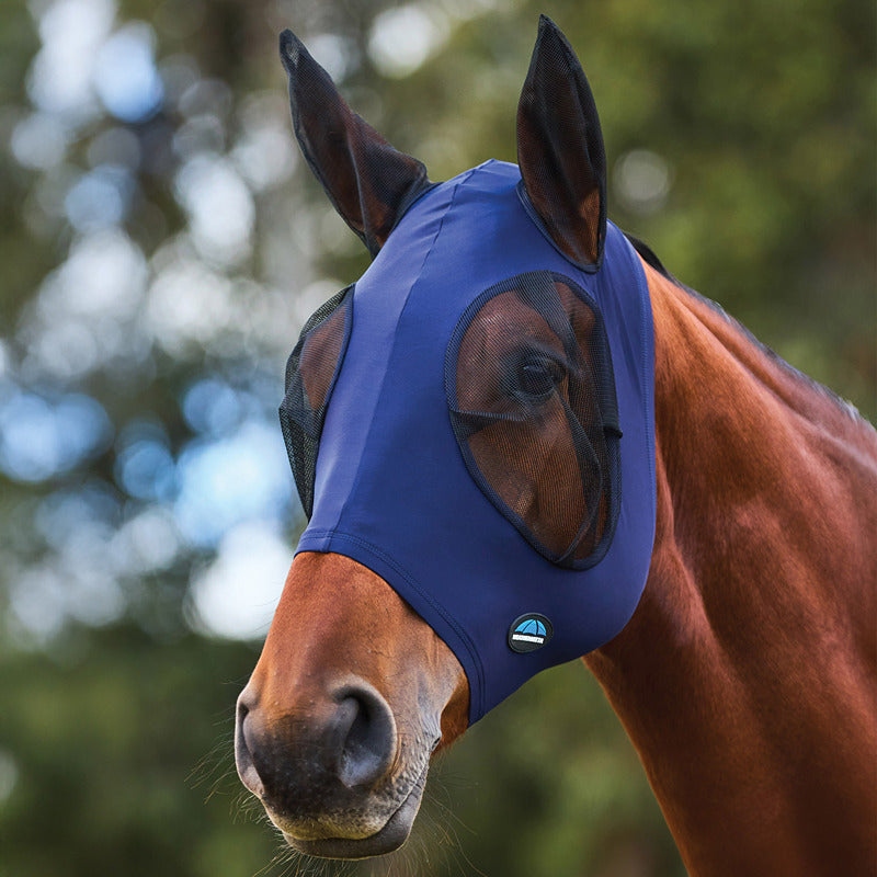 Brown horse wears Weatherbeeta Comfitec Stretch Fly Mask With Ears; green trees in background.