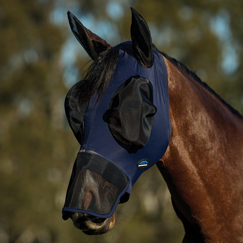 A brown horse wears a Weatherbeeta Comfitec Luxe Stretch Fly Mask Navy/Black on face and ears.