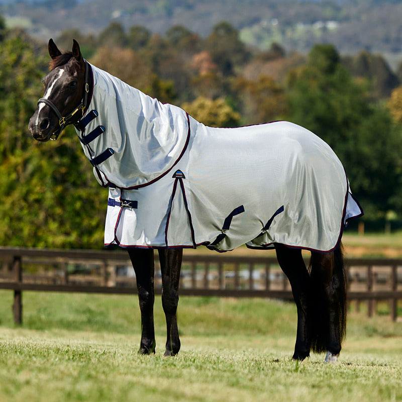Black horse wears Weatherbeeta Comfitec Airflow Detach-A-Neck Fly Rug, outdoors on grass.