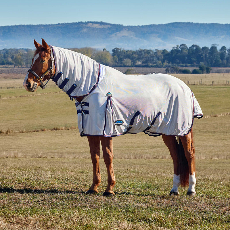 A brown horse in a Weatherbeeta Comfitec Airflow Combo Neck Fly Rug grazes in a grassy field.
