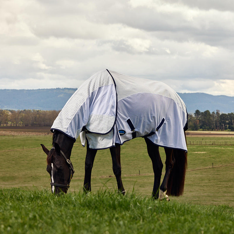A horse in a Weatherbeeta Airstream Combo Neck Rug grazes beneath a cloudy sky.