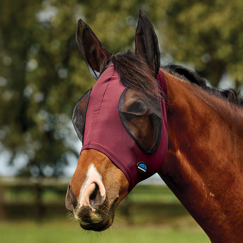 Brown horse outdoors in Weatherbeeta Comfitec Deluxe Stretch Fly Mask Burgundy, trees behind.