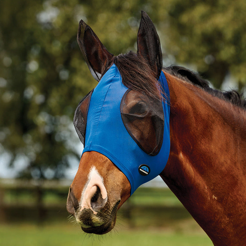 A horse wears a Weatherbeeta Cobalt/Black Stretch Fly Mask with ears, outdoors among trees.