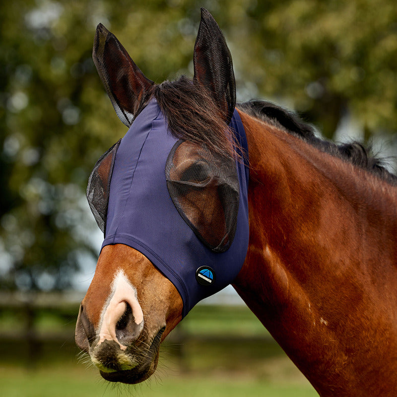 Brown horse outdoors in a Weatherbeeta Comfitec Deluxe Stretch Fly Mask With Ears Navy/Black.