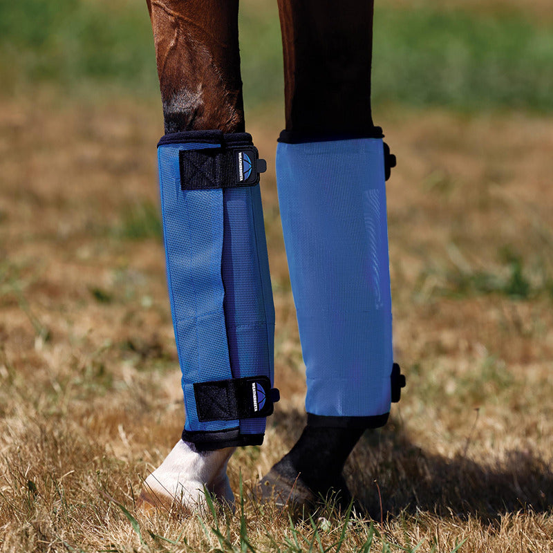A horse stands on dry grass wearing Weatherbeeta Comfitec Dura-Mesh Fly Wraps Blue/Black.