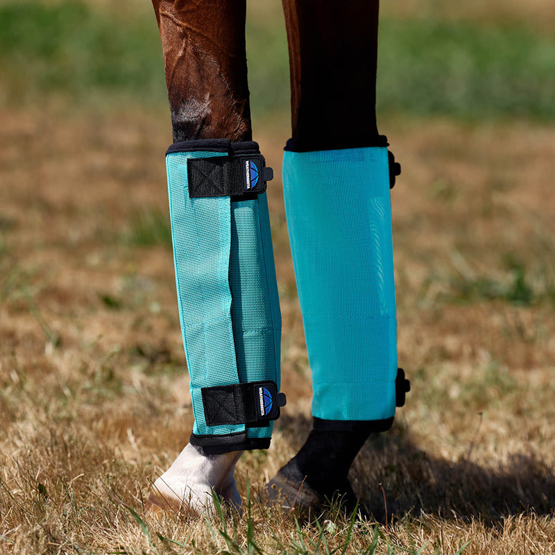 A horse wears Weatherbeeta Comfitec Dura-Mesh Fly Wraps in turquoise for strong leg protection.