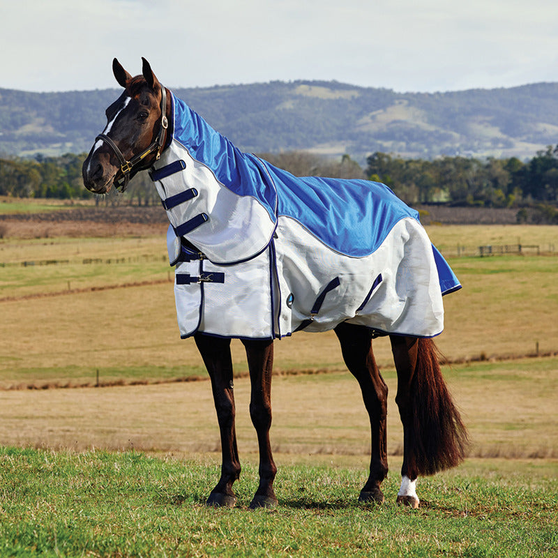 A horse in a Weatherbeeta Comfitec Duo Shield Fly Rug grazes in a grassy field.
