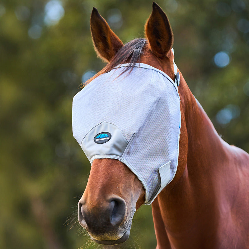 A brown horse wears the Weatherbeeta Comfitec Hexi Shield Duo Fly Mask Silver outdoors.