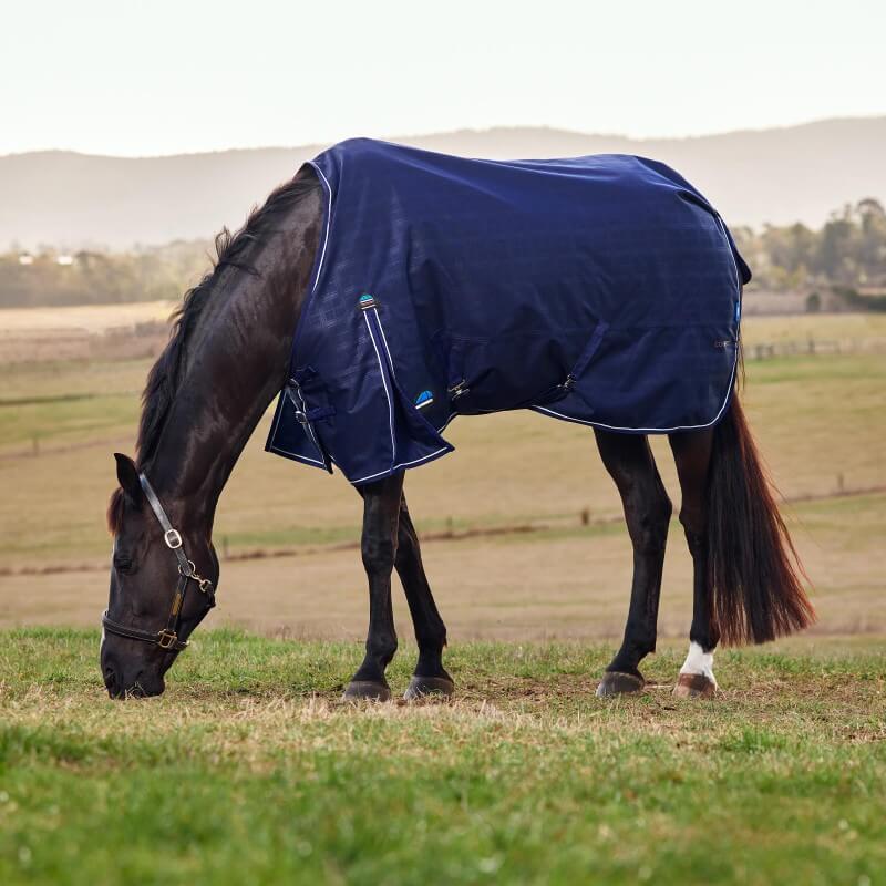 Weatherbeeta Comfitec Prelim Turnout Rug Standard Neck Medium Light Weight 100G Navy Embossed Plaid