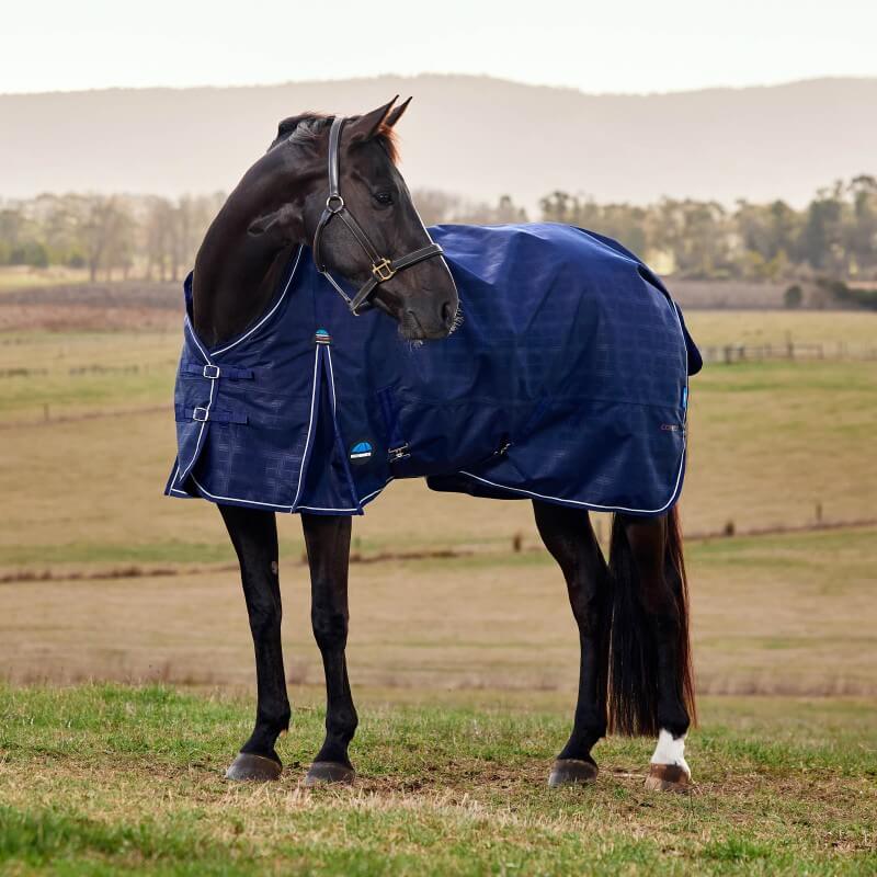 Weatherbeeta Comfitec Prelim Turnout Rug Standard Neck Medium Light Weight 100G Navy Embossed Plaid