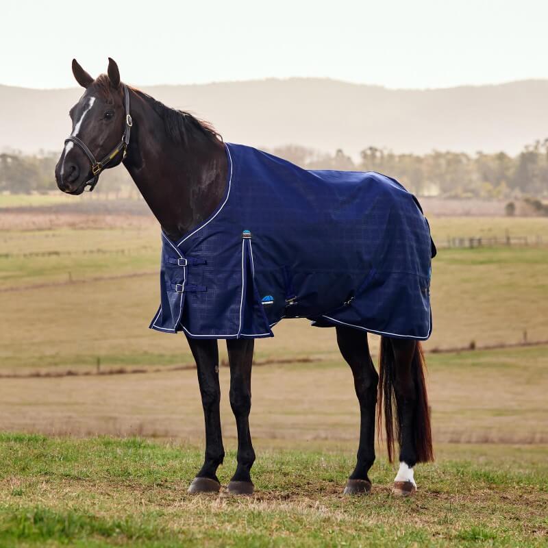 Weatherbeeta Comfitec Prelim Turnout Rug Standard Neck Medium Light Weight 100G Navy Embossed Plaid