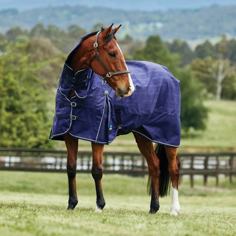 Weatherbeeta Comfitec Prelim Turnout Rug Combo Neck Medium Light Weight 100G Navy Embossed Plaid