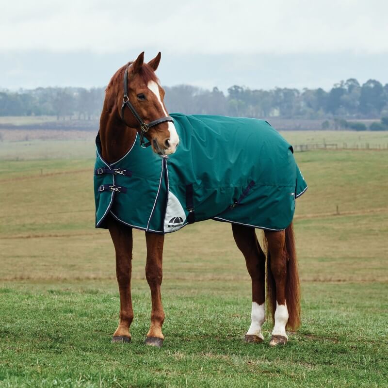 Weatherbeeta Comfitec Plus Dynamic Turnout Rug High Neck Light Weight 0G Forest Green/Navy