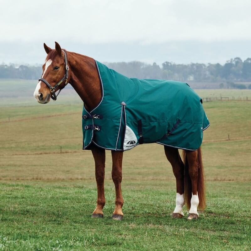 Weatherbeeta Comfitec Plus Dynamic Turnout Rug High Neck Light Weight 0G Forest Green/Navy