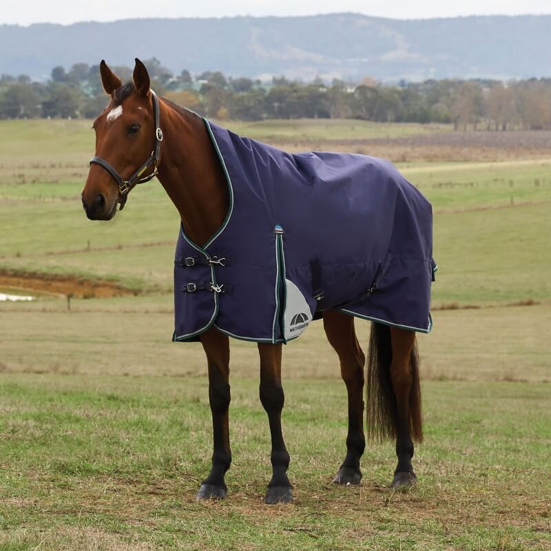 Weatherbeeta Comfitec Plus Dynamic Turnout Rug High Neck Light Weight 0G Navy/Forest Green