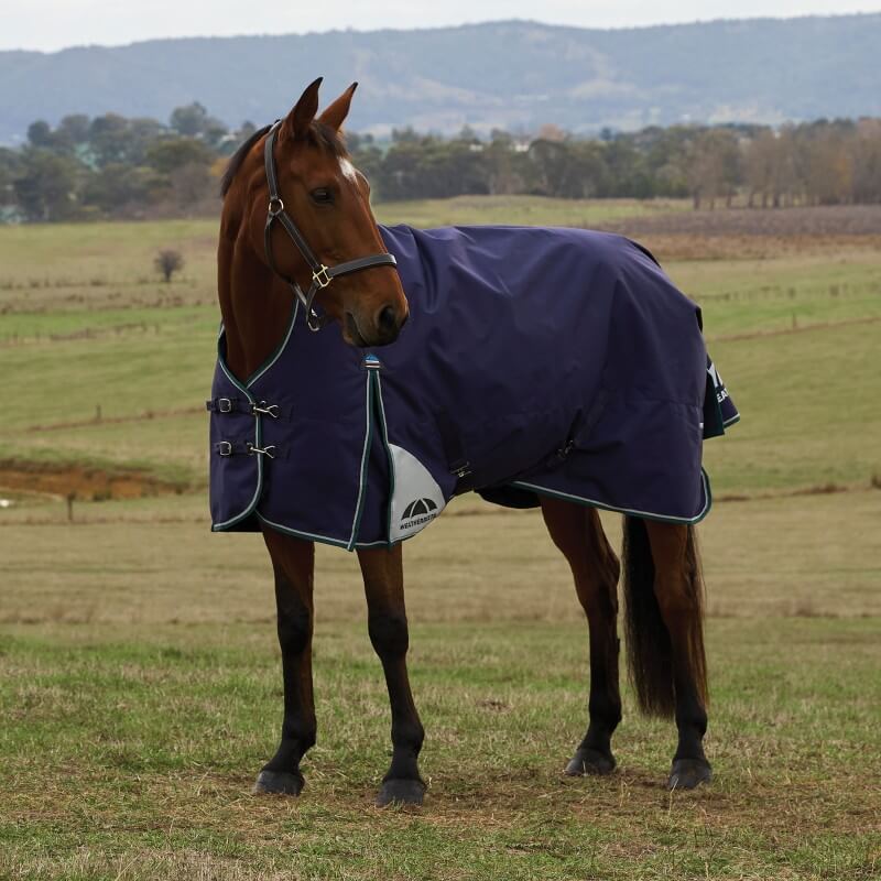 Weatherbeeta Comfitec Plus Dynamic Turnout Rug High Neck Light Weight 0G Navy/Forest Green