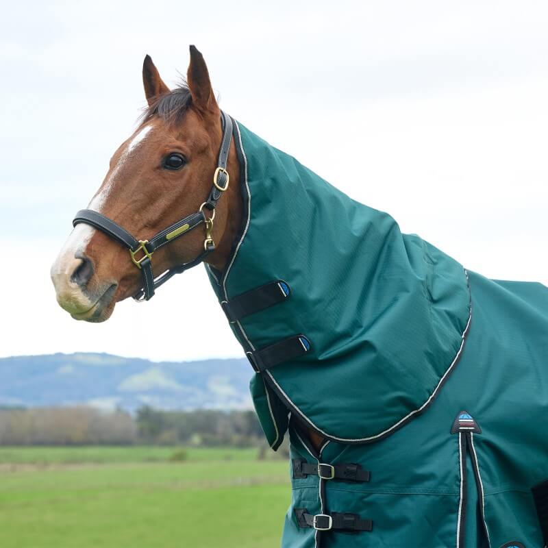 Weatherbeeta Comfitec Classic Turnout Neck Cover 220G Forest Green/Black