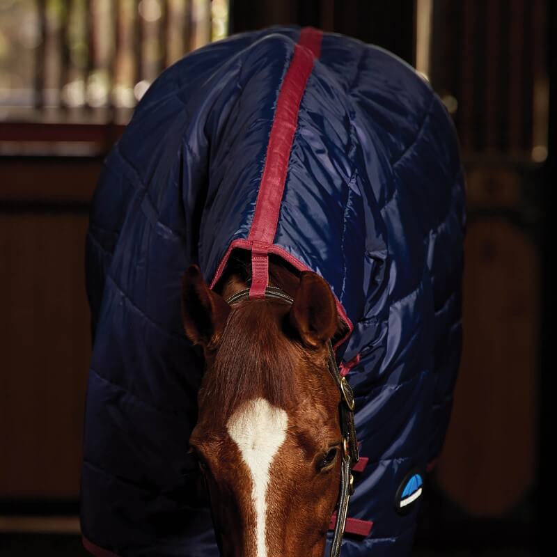 Weatherbeeta Stable Rug Combo Heavy Weight 360G Navy/Burgundy