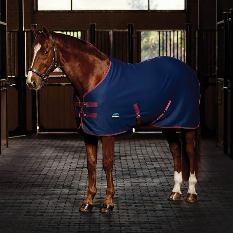 Weatherbeeta Regal Show Sheet Standard Neck Navy/Burgundy