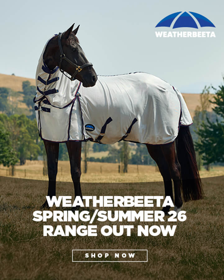 A horse in a white Weatherbeeta turnout sheet stands outdoors.