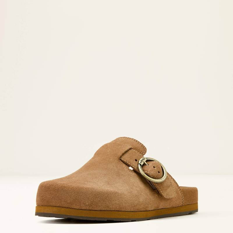 Ariat Womens Country Mule in caramel suede with large buckle, closed toe, and flat sole.