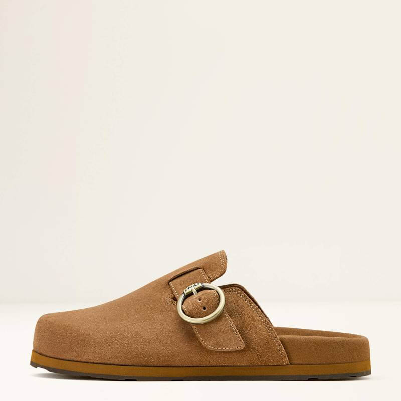 Ariat Womens Country Mule in caramel suede with buckle, side view on plain background.