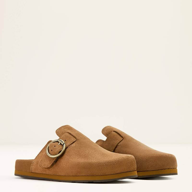 Ariat Womens Country Mule in caramel suede, featuring a buckle and equestrian-inspired style.